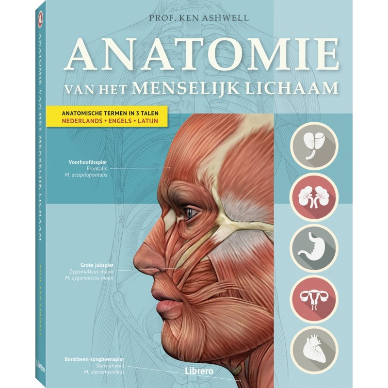 Anatomie Van Het Menselijk Lichaam